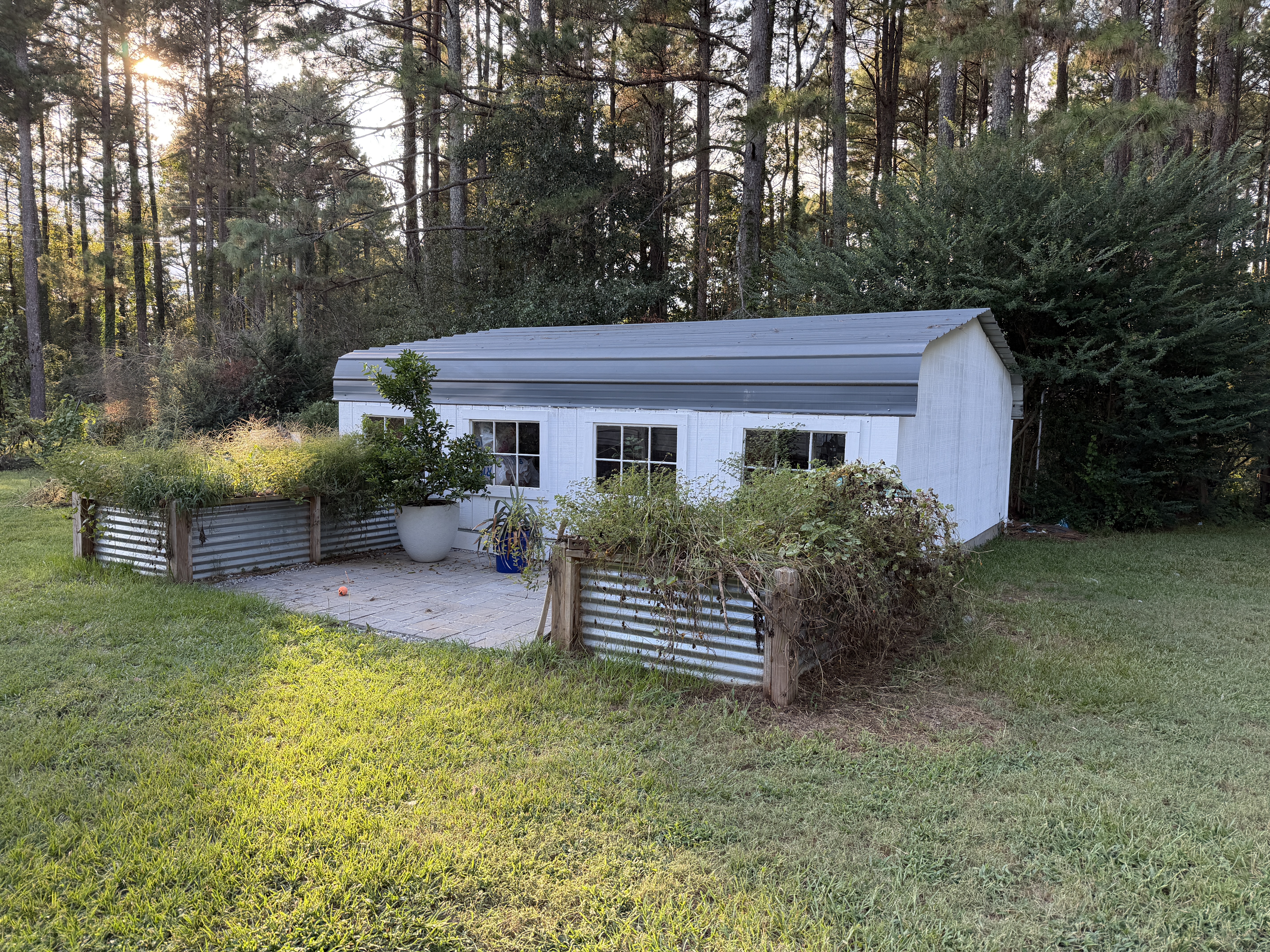 Shed Conversion